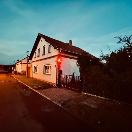 Kahnstuebchen Mit Neuem Innenhof Garten Lübben Exteriör bild