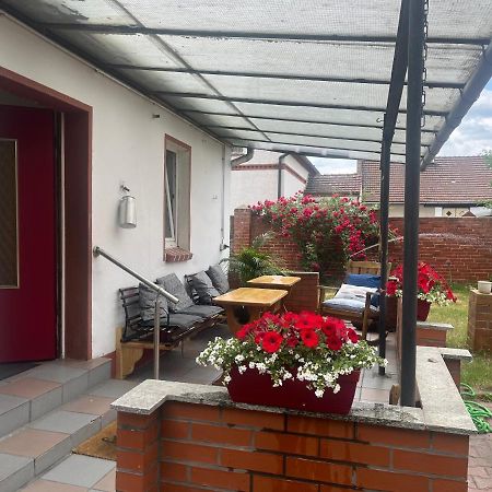 Kahnstuebchen Mit Neuem Innenhof Garten Lübben Exteriör bild