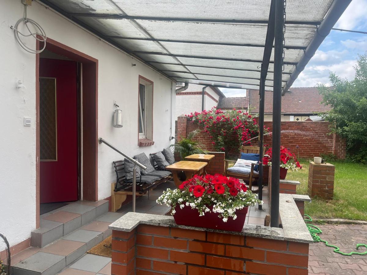 Kahnstuebchen Mit Neuem Innenhof Garten Lübben Exteriör bild
