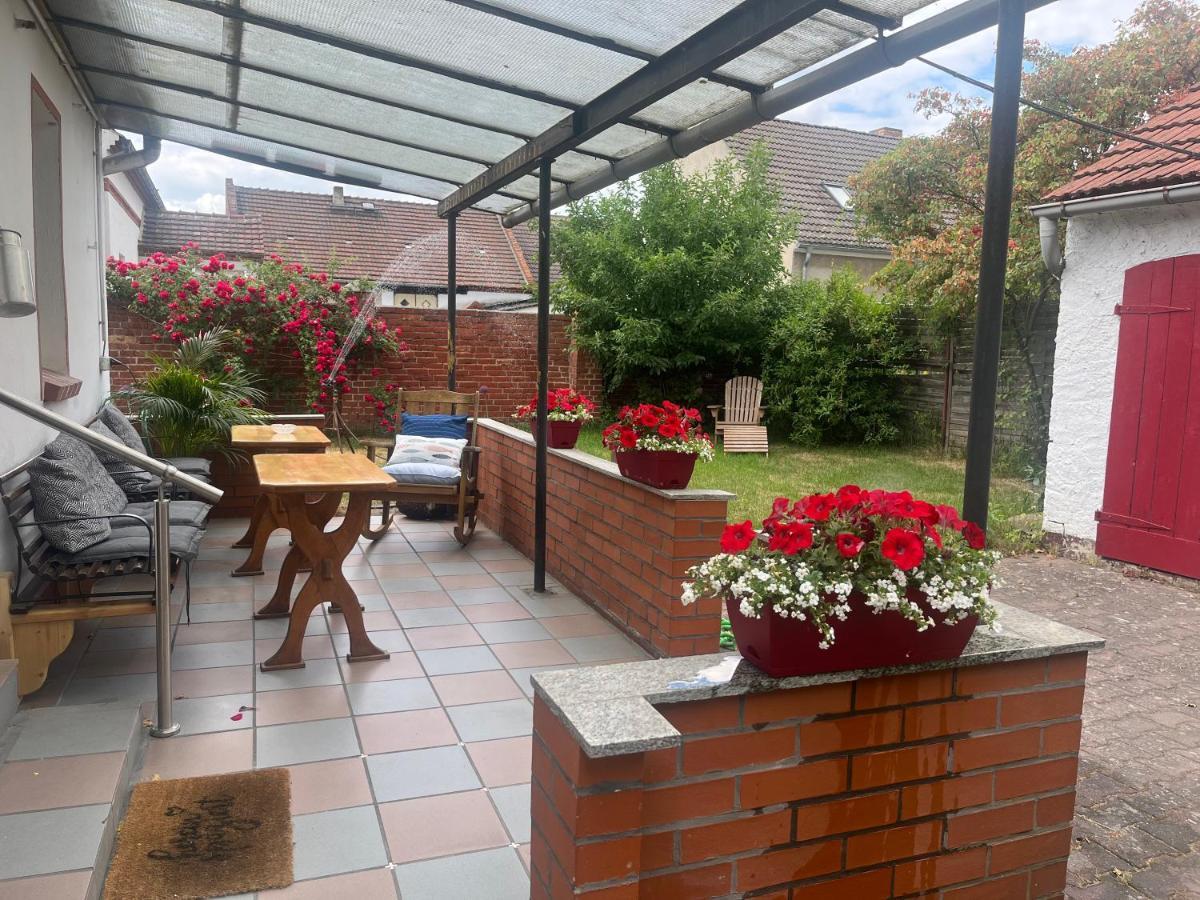 Kahnstuebchen Mit Neuem Innenhof Garten Lübben Exteriör bild